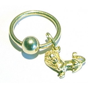 Ring + leeuw
