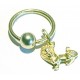 Ring + leeuw
