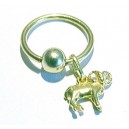 Ringetje + gouden ram
