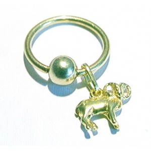 Ring +  ram
