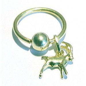 Ring + steenbok