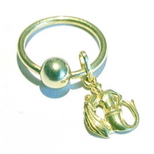 Ring + " Waterman "