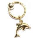 Ringetje met Gouden dolfijn/slank model