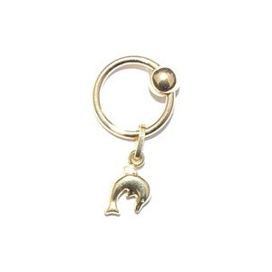 Ring met dolfijntje