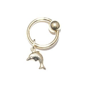 Ring met dolfijntje