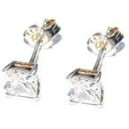 Oorknoppen/Zilver/4 mm