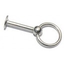 Stud met ringetje. Apart!