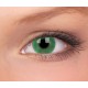 Basics Green