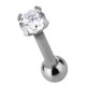 Tragus/witte steen